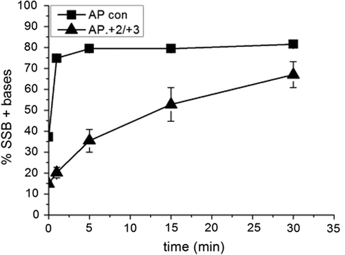 Figure 2. Activity of polymerase β following incision of a control AP site and incision of an AP site in the AP.8-oxoG + 2/8-oxoG + 3 cluster. Polymerase β activity was measured by incorporation of nucleotides following incision of the AP site. The error bars represent standard deviations of three independent experiments.