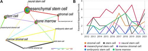 Figure 9 Different types of stem cells used for the treatment of neuropathic pain. (A) Co-occurrence analysis of stem cell types. (B) Occurrences of different types of stem cells as keywords in the last 10 years.