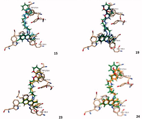 Figure 2. Molecular modelling of four representative compounds inside the binding site of AChE, superimposed with the original ligand (N-4′-quinolyl-N′-9″-(1″,2″,3″,4″-tetrahydroacridinyl)-1,8-diaminooctane), green Coloured. These compounds have the same TAC substituent (R = Cl), but different BF substituent (R1) and spacer length: 15 (turquoise Coloured; n = 1; R1 = H), 19 (dark blue Coloured; n = 1; R1 = -OCH3), 23 (yellow Coloured; n = 1; R1= -OH), 24 (orange Coloured; n = 2; R1 = H).
