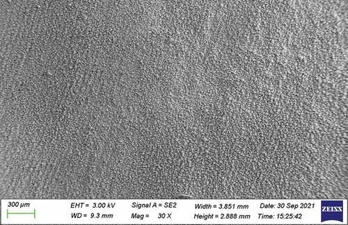 Figure 3. SEM Image of the embedded thin film (one of the glass substrates was randomly selected).