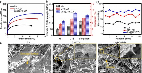 Figure 5. (a) The stress–strain tensile curves, (b) the corresponding tensile parameters, (c) the hardness, (d) typical fracture surfaces after tensile.
