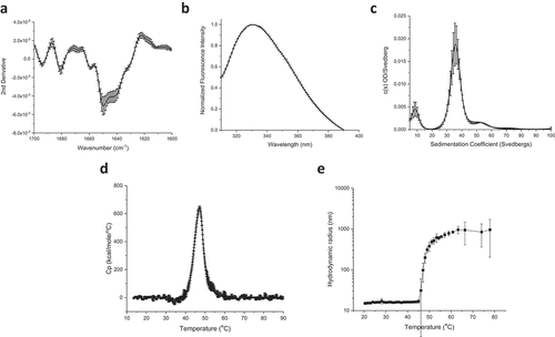 Figure 2. Biophysical characterization of the IVX-411 VLP. (a) Second derivative FTIR spectra of the Amide I band, and (b) intrinsic Tryptophan emission spectra (excitation at 295 nm) of IVX-411 sample at 10°C. (c) Molecular size distribution of VLP species as measured by SV-AUC. (d, e) The overall conformational stability and aggregation behavior as a function of increasing temperature as measured by DSC (Tm  =  47.5 ± 0.1) and DLS (Tm  =  48.6 ± 0.7), respectively. Data shown are the mean of at least three independent measurements while the error bars represent one standard deviation. All experiments were performed in a 50 mM Tris, 150 mM NaCl, 5% sucrose, 0.1 M L-Arginine, pH 8.0 formulation buffer.