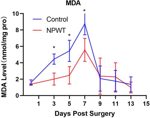 Figure 5 The level of MDA (as a measure of free oxygen radicals) of the control and NPWT-treated groups was tested on days 0, 3, 5, 7, 9, 11, and 13 post surgery. *p < 0.05.