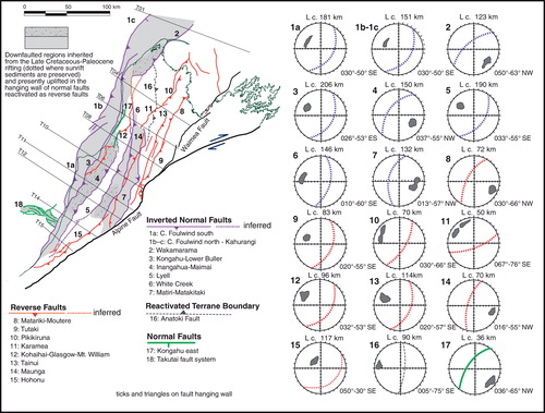 Figure 6 Geometry and kinematics (derived from the finite component of vertical separation of the TBU) for the major basement-penetrating faults west of the Alpine–Waimea faults. Numbers refer to the listed fault names. Structurally aligned and contiguous faults with similar geometry are identified by the same number. Superimposed are the traces of the cross-sections in Fig. 3. In grey are the inherited depressions filled with Upper Cretaceous–Paleocene synrift deposits that have been uplifted in basement pop-ups as a result of compressional inversion on opposite-dipping bounding faults. The stereonets (Schmidt, lower hemisphere) show the average orientation and dip of the fault surfaces reconstructed in the 3D model, derived from the highest frequency concentration of poles (in grey). Poles represent lines orthogonal to the triangular faces that comprise the gridded fault surface in the 3D model. The average length (L) of the reconstructed fault is indicated above the corresponding stereonet.