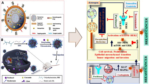 Figure 3. The classical example of nanocarrier based combinational drug delivery in oncotherapy. (A) and (B) showing different types of architects of noncarriers used and mechanism of combinational drug delivery as potent anticancer therapy (Li et al., Citation2017; Zhao et al., Citation2019).