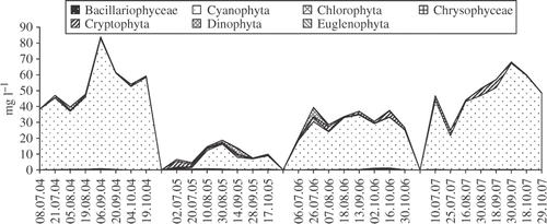 Fig. 4. Phytoplankton composition in Lake Bytyńskie from July to October in the years 2004–2007.