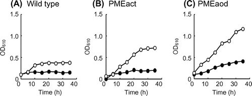 Fig. 1. Growth of the wild-type (A), PMEact (B), and PMEaod (C) strains on 1% pectin (DE, 30%) (●) and 1% pectin (DE, 90%) (○).