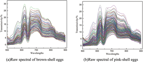 Figure 3. The raw spectral of brown-shell eggs and pink-shell eggs.