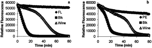 Figure 6. Time course of the reaction of fluorescein (FL) and β-phycoerythrin in the presence and in the absence of AAPH with and without antioxidant (wine) (Huang et al., Citation2002).