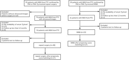 Figure 1. Flowchart of the patient enrollment. MWA: microwave ablation.