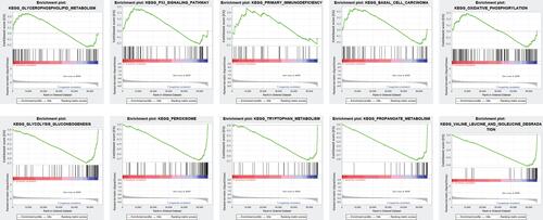 Figure 9 Gene set enrichment analysis. Significant level was p < 0.05 and FDR < 0.25.