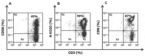 Figure 4. Phenotype of mature CIK. Representative cytofluorimetric dot plots show the typical phenotype of mature CIK. At the end of the 3–4 weeks of culture, within mature CIK it is possible to distinguish two main T-cell subsets positive (CD3+CD56+) and negative (CD3+CD56–) for the co-expression of the CD56 molecule (A), respectively. A high percentage of expanded CD3+ CIK expresses membrane NKG2D receptor (B) responsible of tumor target recognition. Moreover, the majority of CIK are CD8+ (C)