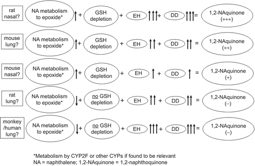 Figure 3.  Potential combinations of activities that might lead to observed effects.