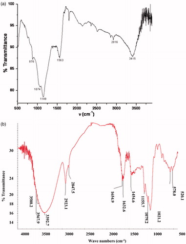 Figure 2. FT–IR spectra of C – PAN and P – PAN adsorbents.