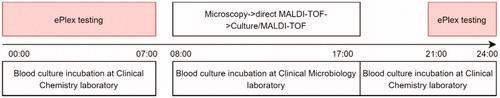 Figure 1. Workflow of blood culture diagnostics.