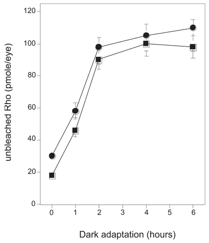 Figure 2 Time course of Rho regeneration during dark adaptation. Control or P23H rats (Day 20) were dark-adapted from regular room light (650 lux). At several time points, 0, 1, 2, 4, and 6 h, rats were euthanized and enucleated eyes were processed to direct Rho concentration analysis as described in the Materials and Methods. For one analysis two eyes from one rat were used. Experiments were performed in triplicate using fresh preparations.