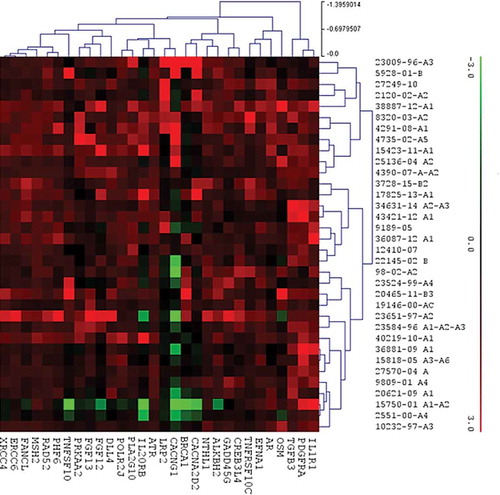 Figure 1. Hierarchical clustering based on RNA expression levels of 30 genes out of 770 genes analysed by PanCancer pathways panel. Rows, genes; columns: samples. Expression level of each gene in a single sample was related to its median level across all samples and is depicted according to a colour scale show above. Red and green represented the expression levels above and below the median, respectively.