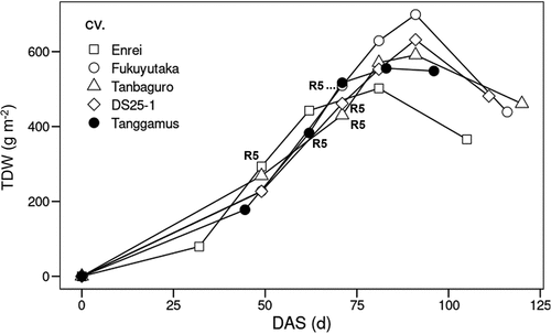 Figure 4. Change in aboveground total dry weight (TDW) of ‘Tanggamus’ under natural daylength and of the temperate cultivars with long-day treatment (LD) in 2018. R5 in this figure shows the timing of R5 (beginning of seed filling) in each cultivar.