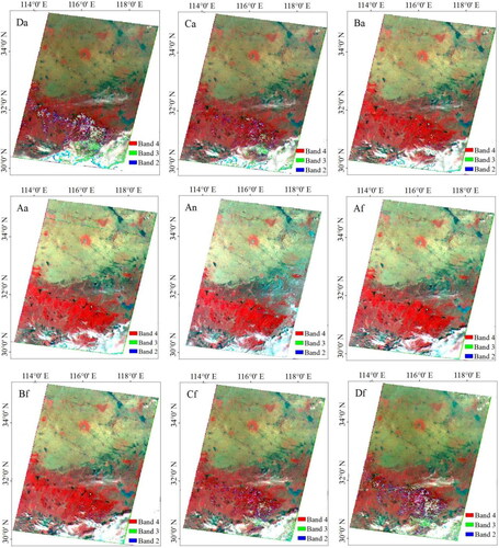 Figure 6. 9-angle false color images of MISR data.