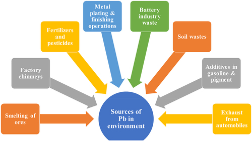 Figure 2. Various sources of Pb in the environment.