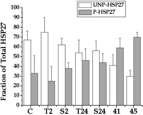 Figure 2. The effect of heating and TDMA exposure on the fraction of phosphorylated HSP27 in HeLa cells. The data shown was analysed for the fraction of Hsp27 that was phosphorylated by summing overall phosphorylated forms. The experimental conditions are the same as indicated in Figure 1. The results of t-tests show that none of the TDMA exposed samples were different from their repective shams. Both the 41 and 45°C samples were significant compared to control for both phosphorylated and unphosphorylated HSP27.