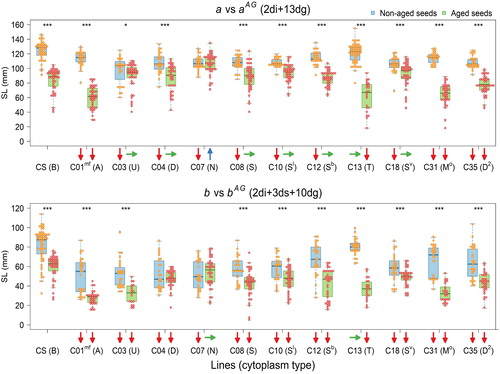 Figure 2. Box plots showing effects of submergence and seed ageing on shoot length. (a) Shoot length was measured at the 13th day of incubation of 2-days imbibed seeds (2di +13dg) of aged and non-aged seeds without submergence. (b) Shoot length was measured at the 10th day of incubation of 2-days imbibed seeds with 3-days submergence stress (2di +3ds +10dg) in aged and non-aged seeds. Variables a, aAG, b and bAG denote shoot length of non-aged and aged seeds without and with 3-days submergence, respectively. Stars indicate significant differences between each of NC hybrids and CS. Arrows: downward (red), upward (blue) and sideway (green), respectively, indicate decrease, increase and no change as compared with CS according to Steel test at the 5% level of significance [Citation41]. Part of the data for non-aged seeds were taken from the previous report [Citation51].