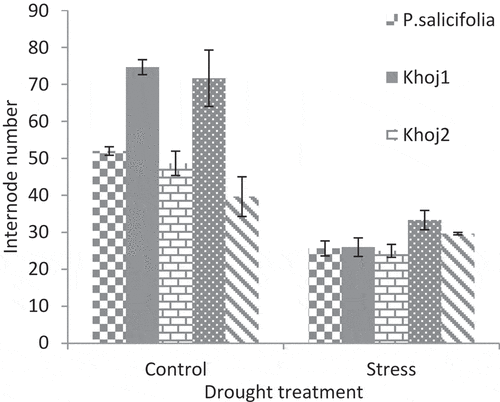 Figure 3. Interaction effect of drought stress and pear species on internode number.