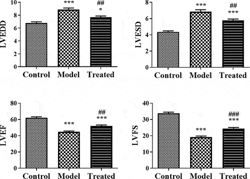 Figure 4. UCBMSCs treatment recovered the cardiac function of ADR-induced cardiomyopathy model rats. The detection of LVEDD, LEVSD, LVEF and LVFS in rats. *P < 0.05, ***P < 0.001 vs. the control group; ##P < 0.01, ###P < 0.001 vs. the model group.