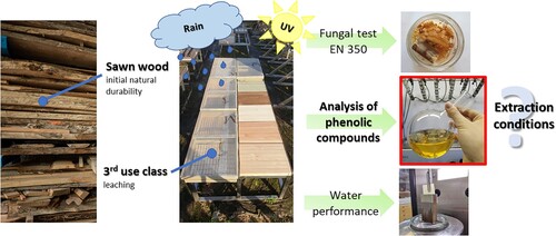 Figure 1. Extraction and analysis of extractives presented in this manuscript represent an important part of our comprehensive investigation of the relations between weathering and the natural durability of wood.