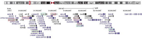 Figure 1. MHC class III genes encoding RNA-binding proteins. A UCSC genome viewer schematic of the chromosome 6 region spanning the MHC class III region. Genes encoding proteins implicated in RNA metabolism are boxed in red. Genes encoding proteins with a potential role in RNA metabolism and mentioned in the text are boxed in green. Genes indicated in black correspond to proteins with an entry in the Protein Data Bank (PDB); genes indicated in dark blue represent transcripts that have been reviewed or validated by either the Reference Sequence collection (RefSeq), SWISS-PROT or the Consensus Coding Sequence Project (CCDS); genes indicated in light blue correspond to non-RefSeq transcripts