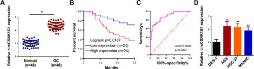 Figure 1 CircCSNK1G1 was upregulated in GC and associated the prognosis of GC patients. (A) The level of circCSNK1G1 in GC tissues and paired normal tissues was measured using RT-qPCR. (B) Kaplan-Meier analysis reveals the association of high crcCSNK1G1 expression with poor overall survival in patients with GC. (C) ROC curve analysis was used to assess the diagnostic values of the circCSNK1G1. (D) The expression of circCSNK1G1 in GC cell lines and normal gastric epithelial cell line was detected using RT-qPCR. **P < 0.01.