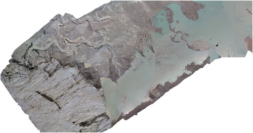 Figure 3. The toe of the Saskatchewan Glacier (left) showing meltwaters running from the glaciers into the adjacent lake. The valley width is approximately 270 meters across.