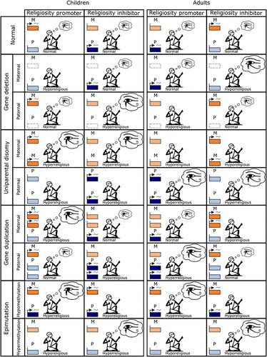 Figure 3. Genomic imprinting and maladaptation in relation to religiosity. Genomic imprinting is predicted to arise as a result of intragenomic conflict over religiosity, and to be associated with maladapted phenotypes including in relation to four classes of mutational perturbation (gene deletions, gene duplications, epimutations, and uniparental disomies). The patterns predicted for adult religiosity phenotypes in this table are for scenarios in which relatedness is higher for the paternal-origin gene rather than for the maternal-origin gene (i.e. opposite from the situation for children interacting socially with maternal siblings).