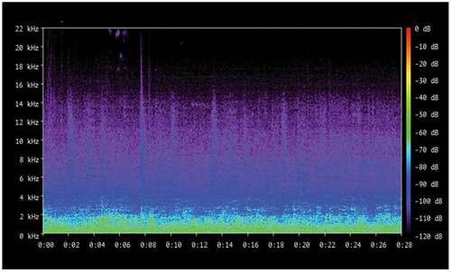 Figure 8. Environmental Noise spectrogram from recordings in Beirut and the Suburb. Courtesy of Author.