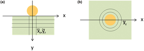 Fig. 3. Schematic representation of (a) Grain on surface and (b) Embedded grain configurations.