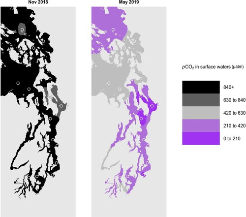 Figure 4. Interpolated sea surface pCO2 in greater Puget Sound in November 2018 and May 2019. Open circles indicate stations from which georeferenced data were used. A pCO2 value of 420 μatm represents the nominal regional atmospheric CO2 concentration, and therefore, the transition between waters undersaturated and oversaturated with respect to atmospheric CO2 that serve as CO2 sinks (dark and light purple) from and CO2 sources (greys and black) to the atmosphere, respectively.