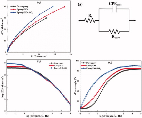 Figure 11. Nyquist (a1), Bode (b1) plots and phase diagrams (c1) obtained from EIS analysis for neat epoxy, epoxy/GO and epoxy/GO–SiO2 composite coating after immersion in 3.5 wt% NaCl solution for 24 h. (a) Equivalent circuit of the different samples.