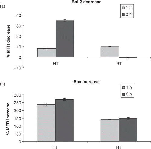 Figure 2. Intra-cellular Bcl-2 and Bax protein levels. (a) Percentage decrease in mean fluorescent ratio (MFR) of Bcl-2, compared to MFR of Bcl-2 for untreated HL60 cells, 1 and 2 h after heat-treatment (HT; 43°C during 1 h) or γ-irradiation (RT; 8 Gy). (b) Percentage increase in MFR of Bax, compared to MFR of Bax for untreated HL60 cells, 1 and 2 h after heat-treatment (HT) or γ-irradiation (RT). The MFR, defined as the ratio of the mean fluorescent intensity (MFI) of primary antibody and the MFI of the isotype control stained cells, was used as a measure for Bcl-2 or Bax protein expression. The results are the mean ± SD (n = 3).