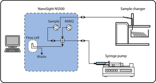 Figure 2. The schematic setup of the NanoSight setup for automated flow measurements. Both the sample changer and the syringe pump are connected to the NanoSight by a four-way valve.