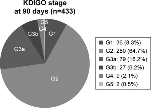Figure 2 Evolution of renal function according to KDIGO staging.