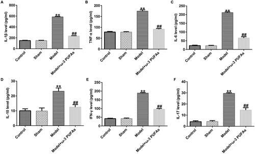 Figure 1. Secretion of inflammatory cytokines in blood samples from rats administered with CLP. (A) IL-1β; (B) TNF-α; (C) IL-6; (D) IL-10; (E) IFN-γ; (F) IL-17. **p < 0.01 vs. Sham; ##p < 0.01 vs. Model.