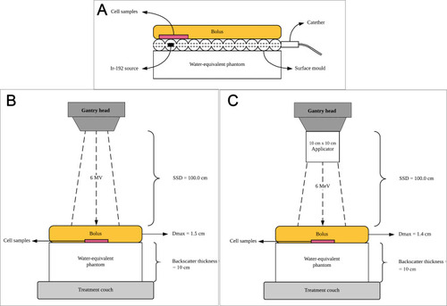 Figure 1 The schematic diagrams of irradiation setup for each source and beam: (A) brachytherapy (B) photon, and (C) electron.