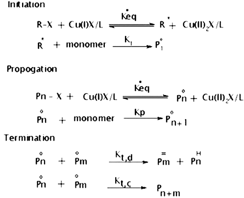 Scheme 1. Mechanism of atom transfer radical polymerisation.