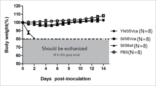 Figure 2. The changes in mice's weights within 14 days after intranasal immunization with all of the virus strains used to evaluate their animal safety.