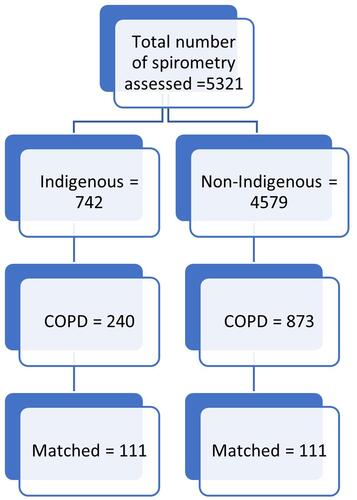 Figure 1 Flow chart of Indigenous and non-Indigenous study participants’ inclusion criteria.