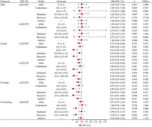 Figure 2. Forest map of the association between SNPs and RA risk in gender and smoking status stratification. RA: rheumatoid arthritis; SNP: single nucleotide polymorphism; OR: odds ratio; CI: confidence interval; FDR: false discovery rate. p < .05 was considered to be significant.