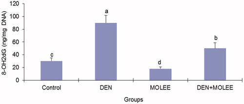 Figure 3. The content of 8-OHdG in liver DNA. The data are presented as the mean ± S.E. Columns with different letters are significantly different (p < 0.05).