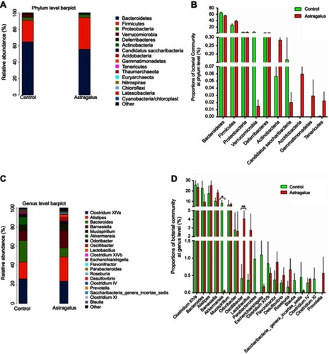 Figure 3 Comparisons of bacterial community abundance between the control and astragalus- administered groups.