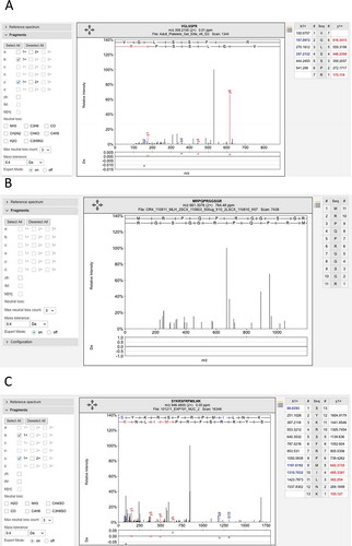 Figure 5. Examples of the many poor spectra from the Wilhelm analysis. (A) One of the three poor spectra used to identify peptide VGLSSPR for gene LINC00346. This peptide was identified with an Andromeda score of 71.95. No consecutive ions in the series were identified. (B) The very poor spectrum for peptide MRPQPRGGSGR, which maps to gene LINC00346. The peptide is supposed to be N-terminal acetylated. None of the fragments are identified. C. One of three poor spectra for peptide SYKRSFRMILNK, which is used to identify EBLN2. Again very few fragments are identified. All these spectra are from the ProteomicsDB and from the Wilhelm analysis.