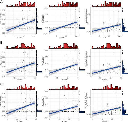 Figure 7 The correlation between expression of C1QA, C1QB, and C1QC and proportion of immune cells. Linear regression relationship of the 3 immune cells, memory B cells, CD8 T cells and follicular helper T cells with C1QA (A), C1QB (B), and C1QC (C).